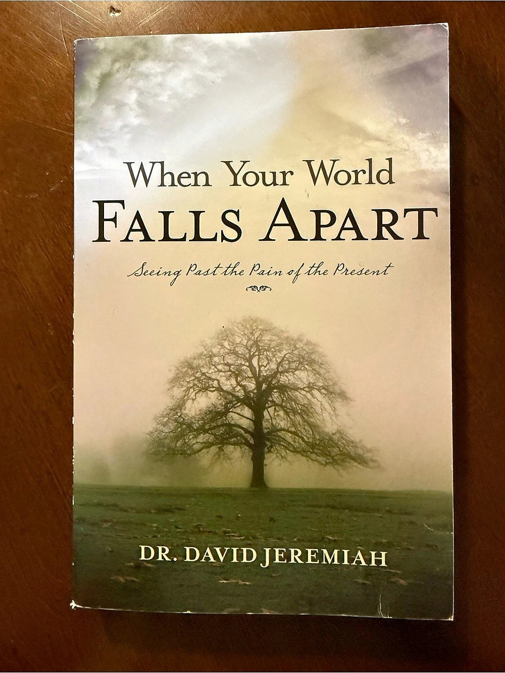 Thomas Nelson When Your World Falls Apart: Seeing Past the Pain of the Present